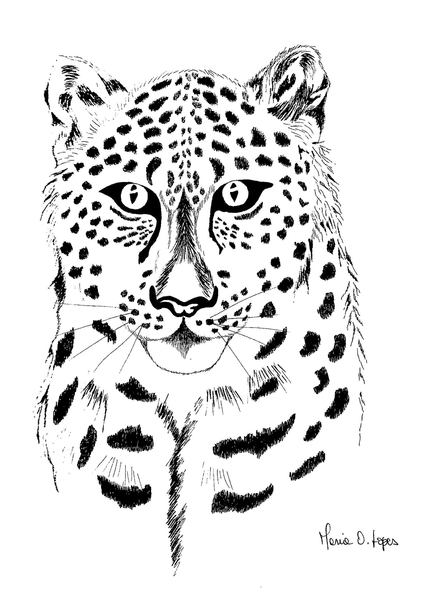 Félin 1