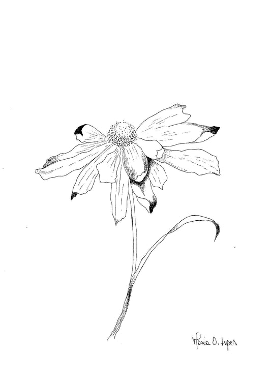 Fleur