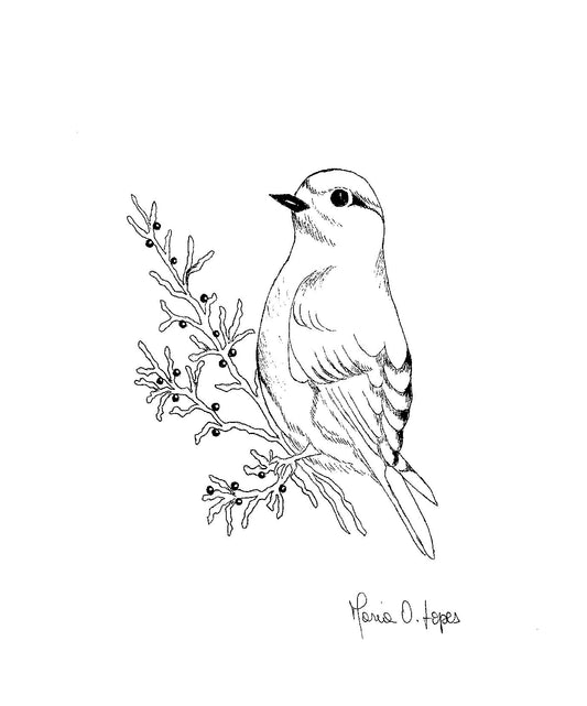 Petit oiseau sur la branche